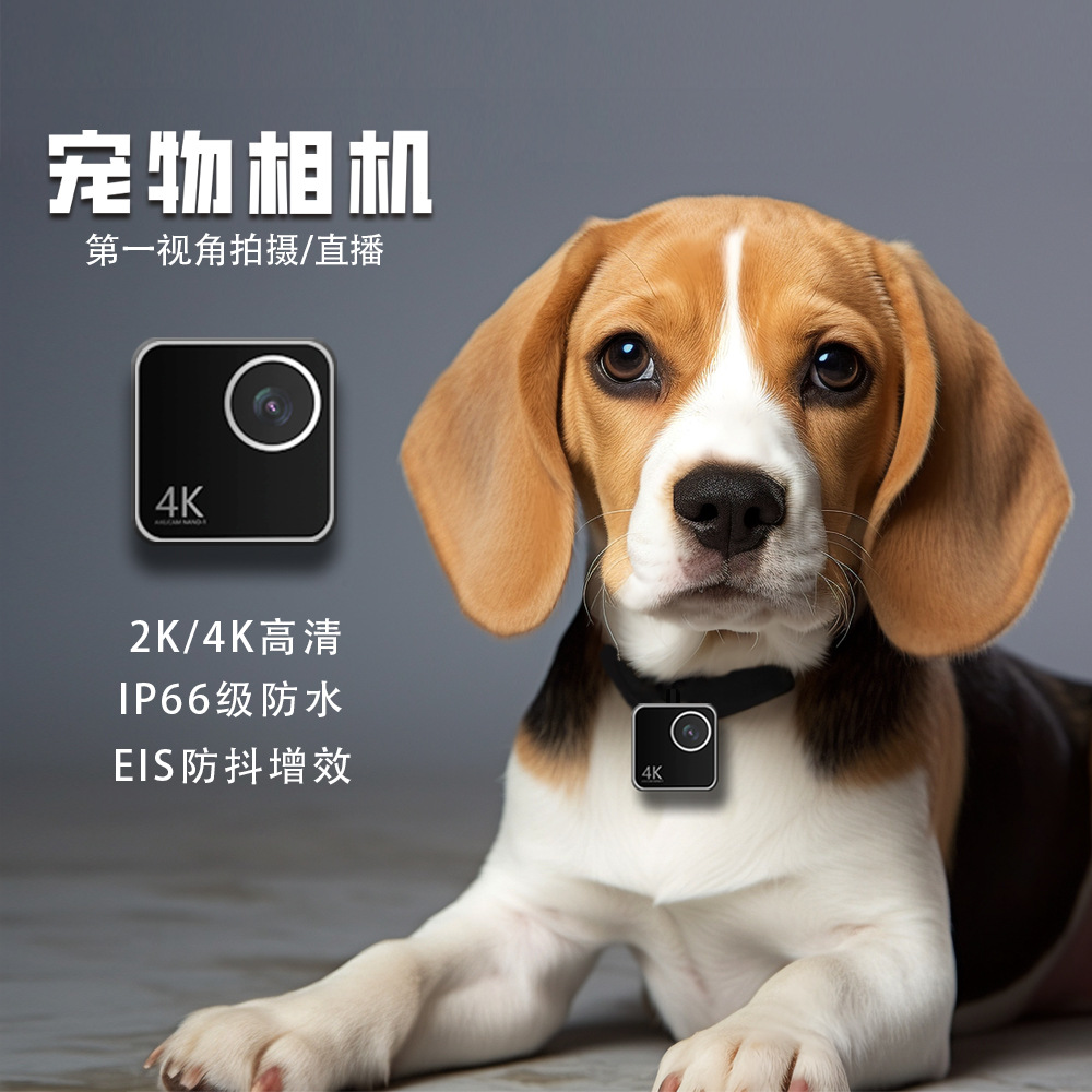 동물 고양이 강아지 애완동물 카메라 1인칭 스마트 칼라 - Cameras 리뷰 및 가격