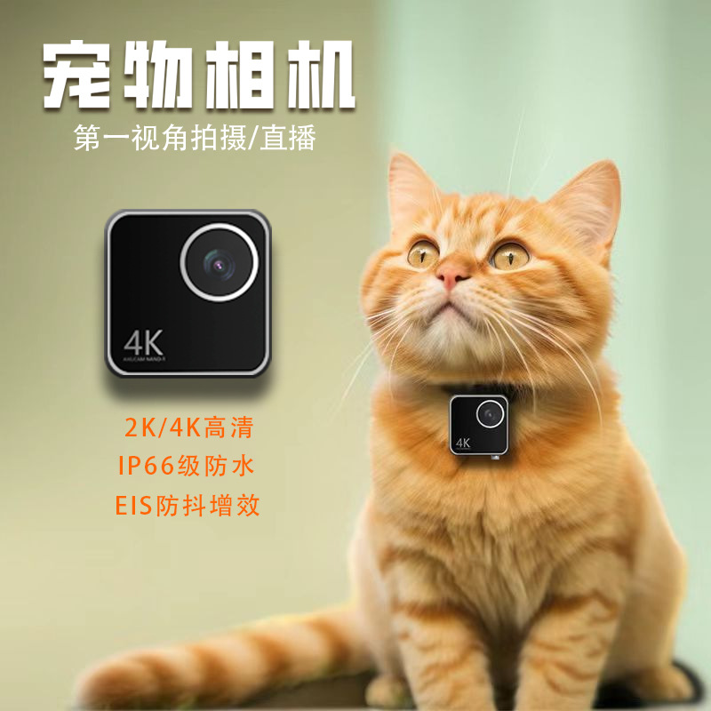 동물 고양이 강아지 애완동물 카메라 1인칭 스마트 칼라 - Cameras 리뷰 및 가격