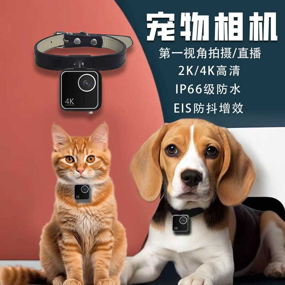 동물 고양이 강아지 애완동물 카메라 1인칭 스마트 칼라 - Cameras 리뷰 및 가격